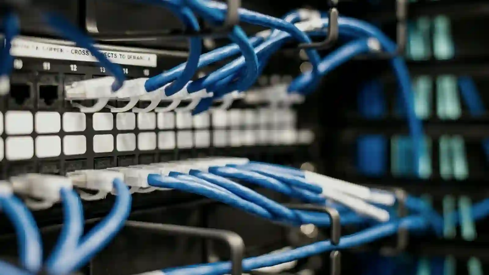 Patch cables running in ordered rows into a switch.